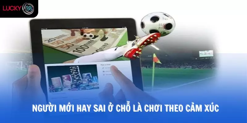 Người mới hay sai ở chỗ là chơi theo cảm xúc